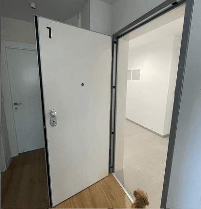 tecnología de seguridad en cerrajería, puerta blindada premium